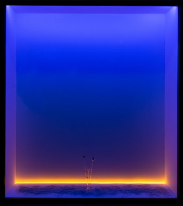 1 Ariana Díaz. Trastienda Machete 