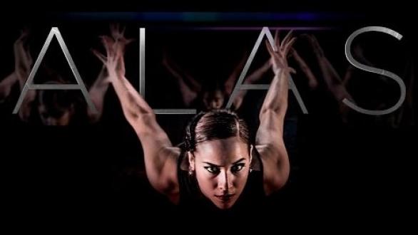 Alas de Compañía Lizt Alfonso 