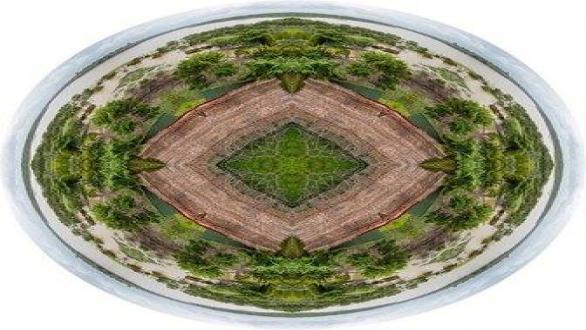 Roberto Lombana. Jardín, 1/8. 55.1 in. Digital print on canvas. 2015. Image Courtesy of Galería Baobab Bogotá, Colombia 