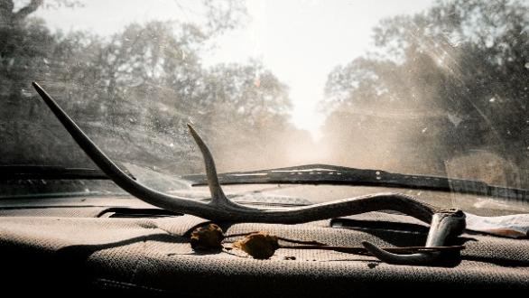 Western still life (Big Foot, Texas)