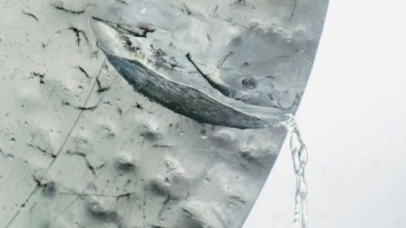 Lengua en coro, cuenta