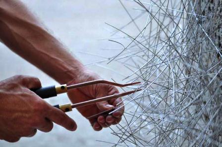 Academia San Alejandro, territorios alucinantes