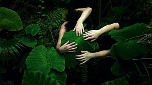 Detail: Tamara Dean, Elephant ear (Alocasia odora) in Autumn from the series In our nature, April 2017, Adelaide Botanic Garden. Pure pigment print on cotton rag, 150 x 200 cm; Courtesy the artist and Martin Browne Contemporary, Sydney.