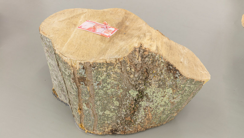 Paulo Nazareth. Bestiary of Capital