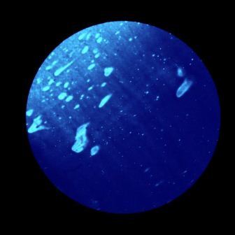 Aleydis Rispa. Planetas y estrellas