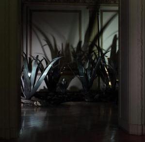 Beatriz Moreiro: Guardianas del monte