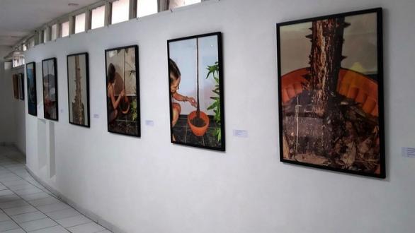 Vistas de la muestra Convergencias, G. W.Lam 13.11.2021