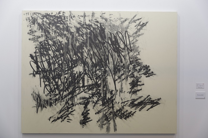 Premio DKV Nicolás Ortigosa de la galería Moises Pérez de Albeniz