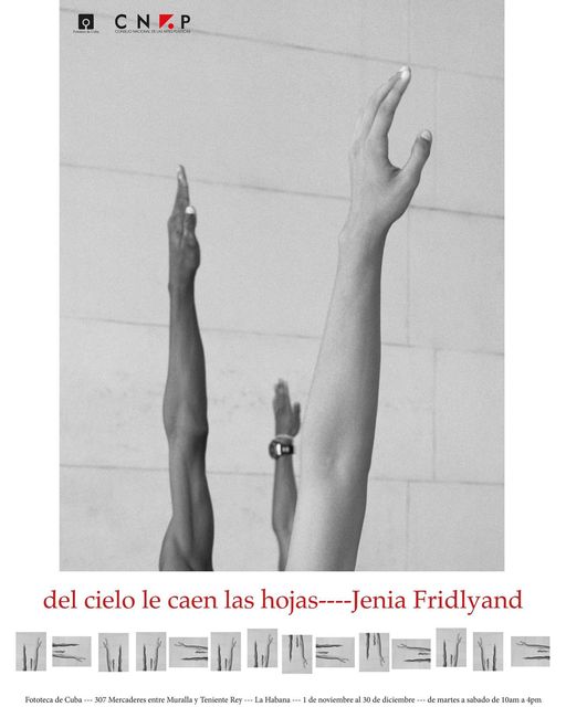 de la exhibición “Del cielo le caen las hojas” 