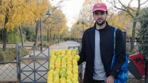 Las desconcertantes naranjas de Ampparito