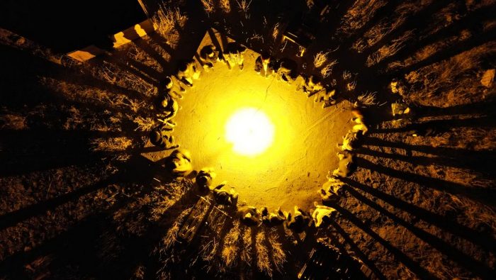 Microcuradurías 2024, la oportunidad de superación que esperabas