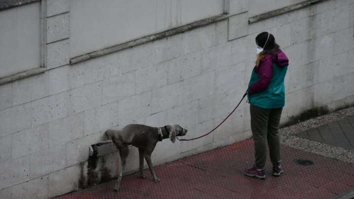 Pongamos que hablo de Madrid… o de Milán, Pekín, Nueva York o La Habana