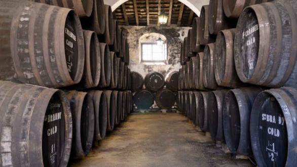 Bodegas Tradición