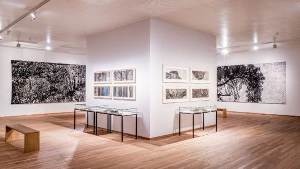 Jan Hendrix: Tierra Firme, Bonnefantenmuseum Maastricht Photo © Manor Lux