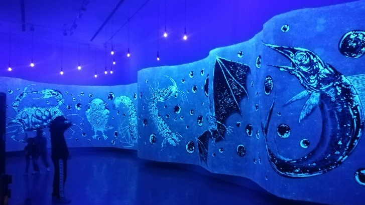 Sun Xun at Museum of Contemporary Art Australia