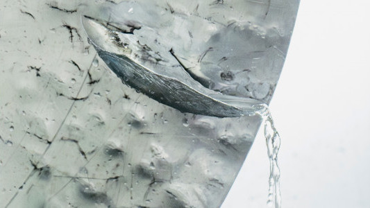 Lengua en coro, cuenta: Cristina Mejías inaugura la temporada de Abierto x Obras en Matadero Madrid