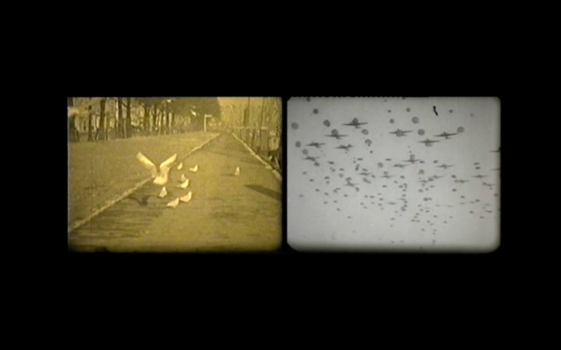 Pere-Noguera War-Family still-02. Galeria Bombon Brojects 