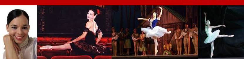 De Acero y Nube: presentación de la biografía de Viengsay Valdés