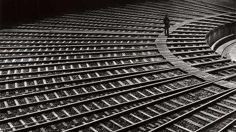 New Objectivity: From Nature to Industry 