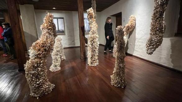 Cráteres de abismo de Nebraska Flores