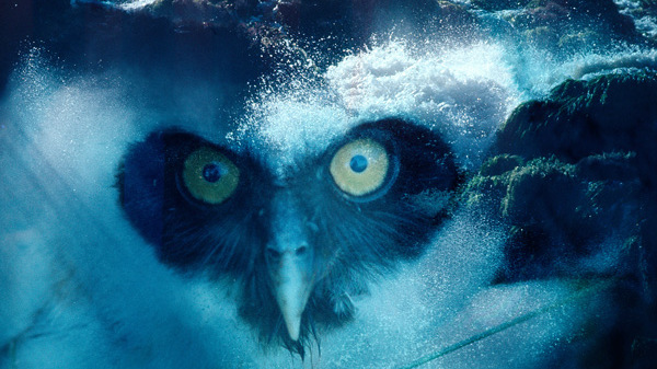 Claudia Andujar.The End of the World