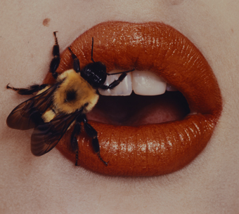 Irving Penn: Beyond Beauty 