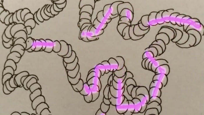 Aideen Barry Everything Changes, Nothing Perishes