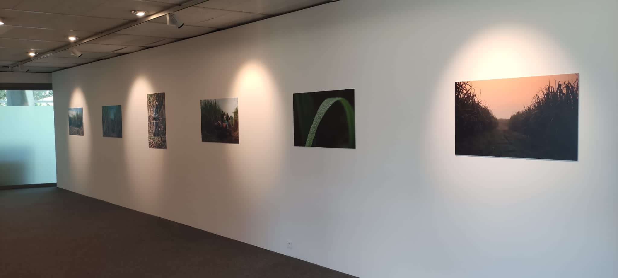 “De la Tierra al Saber Hacer” 