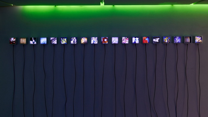 Swab presenta el programa central de la 18a edición: Polar and Tropic