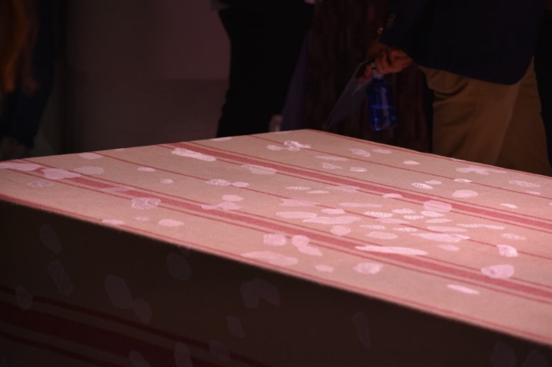 “Almuerzo solar” 