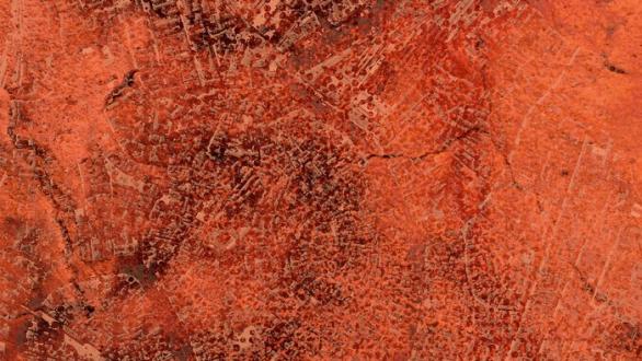 With Hands Signs Grow