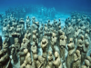 Esculturas del Museo Subacuático de Arte de Cancún cubiertas por organismos marinos y rodeadas de peces