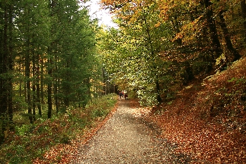 Este puente de diciembre ponemos rumbo a Navarra