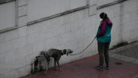 persona con su perro 