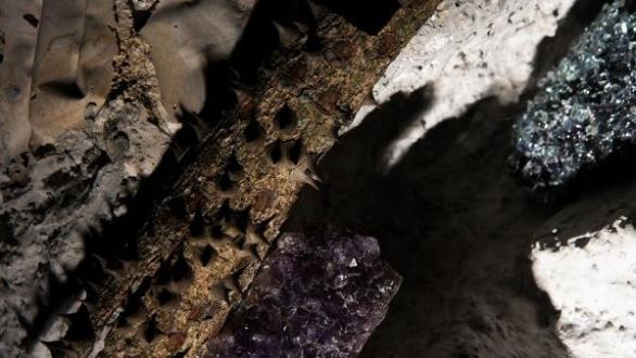 Guadalupe Ayala presenta GEMA