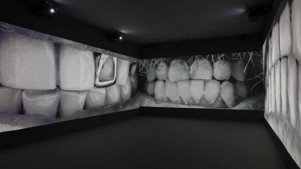 Santiago Sierra. 2.068 Dientes © Joaquín Cortés