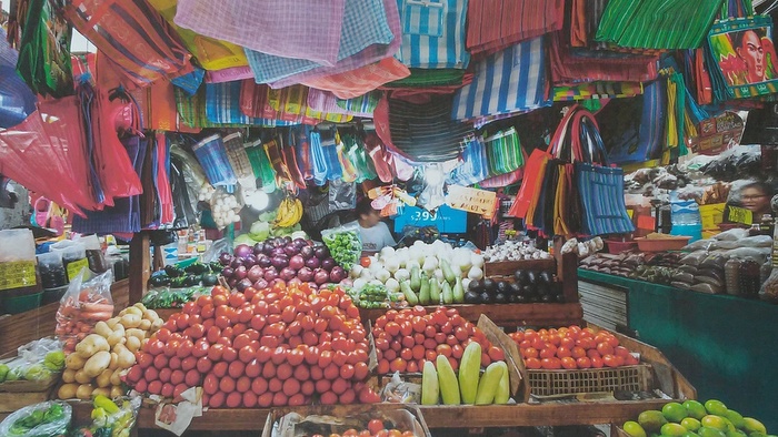 Sacbé: all the roads of Mexican culture