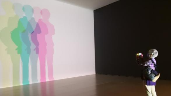 Tu sombra incierta (2010) 