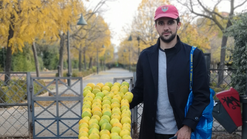 Las desconcertantes naranjas de Ampparito