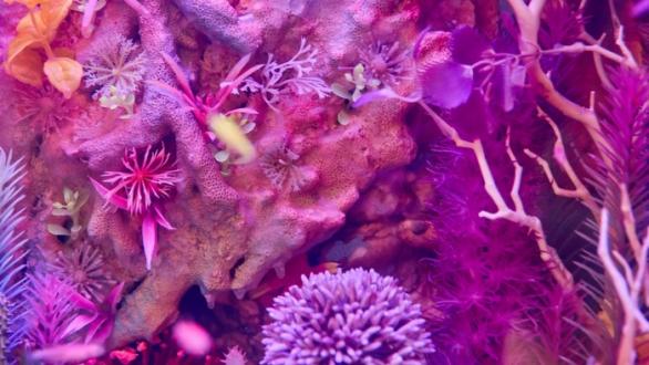 Art Basel Miami Beach/ Misc Collectors Lounge MC