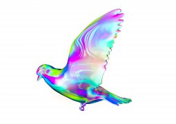 Presentación proyecto El Palomar