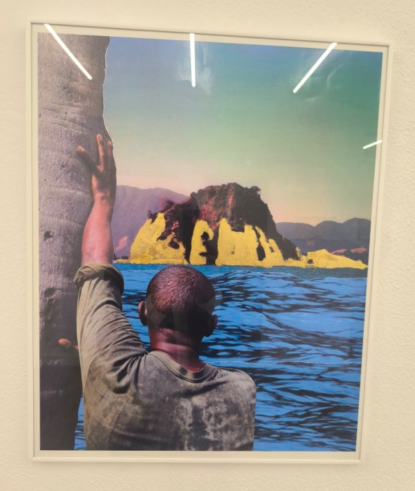 Obra de Denise Milan