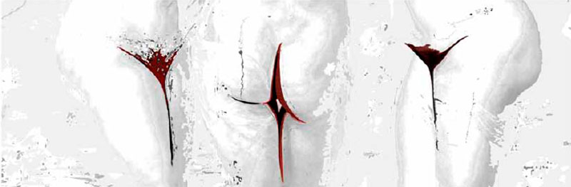 Bajo la mirada digital