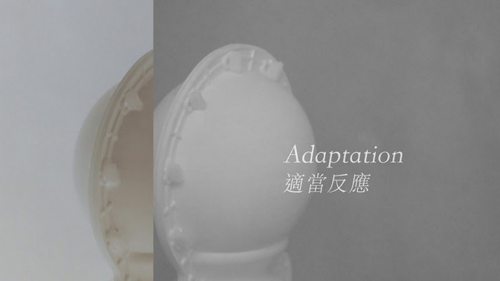 Ko Sin Tung solo exhibition "Adaptation"