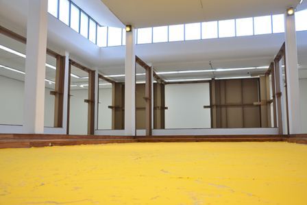 Carlos Bunga: Desplazamientos síquicos