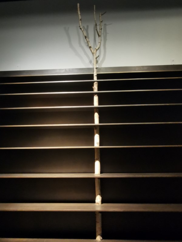Estantería tree 5, Andrea Branzi (2010)