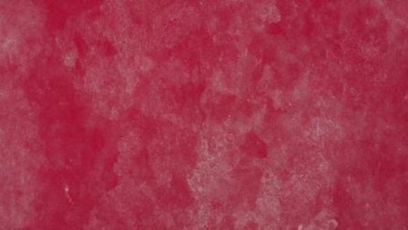 Angelina Pwerle, Bush Plum, 2010, 46 x 78 inches, [25-310], Synthetic polymer paint on canvas © Courtesy of the artist and Niagara Galleries, Melbourne. Photo Credit: Sid Hoeltzell, Courtesy of Scholl Collection, Miami