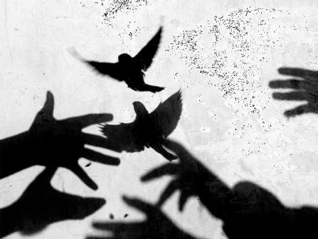 Ken Matsubara "HOU-CHOU" releasing birds 
