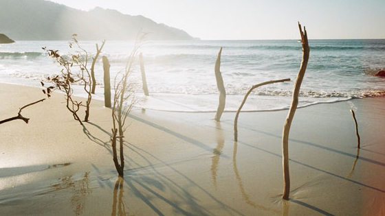 Shimabuku The 165-metre Mermaid and Other Stories