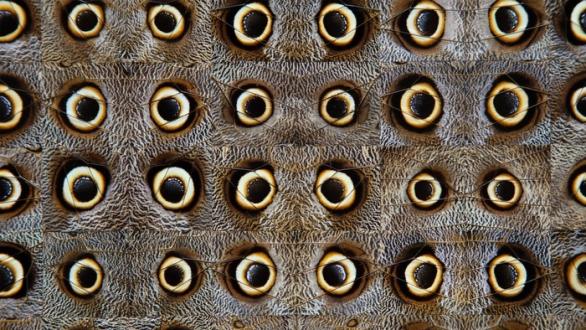 Gabriel de la Mora, 100 II Ca. Eu., 2025. Colección privada